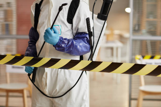 Professional Hoarding Cleanup technician working in Swannanoa, NC